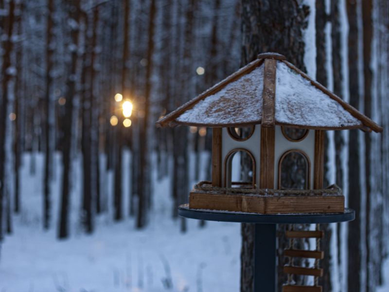 На Сызрань идут снегопады, а после - морозы