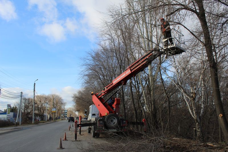 Заросшая деревьями улица в Сызрани принимает «божеский вид»