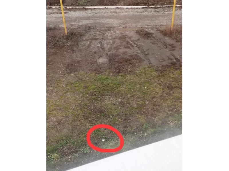 В Сызрани моментально отреагировали на сигнал жителей о найденной подозрительной купюре