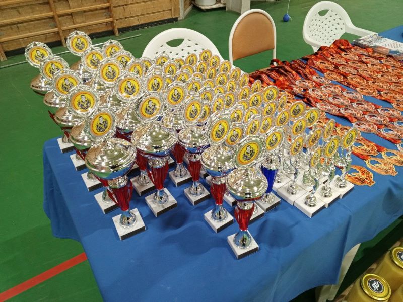 В Сызрани состоялся ежегодный турнир, посвященный памяти тренера-основоположника дзюдо и самбо Александра Викторовича Жигулёва