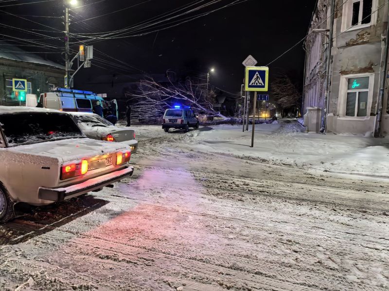 В центре Сызрани дерево рухнуло на автомобиль - на месте работали спасатели