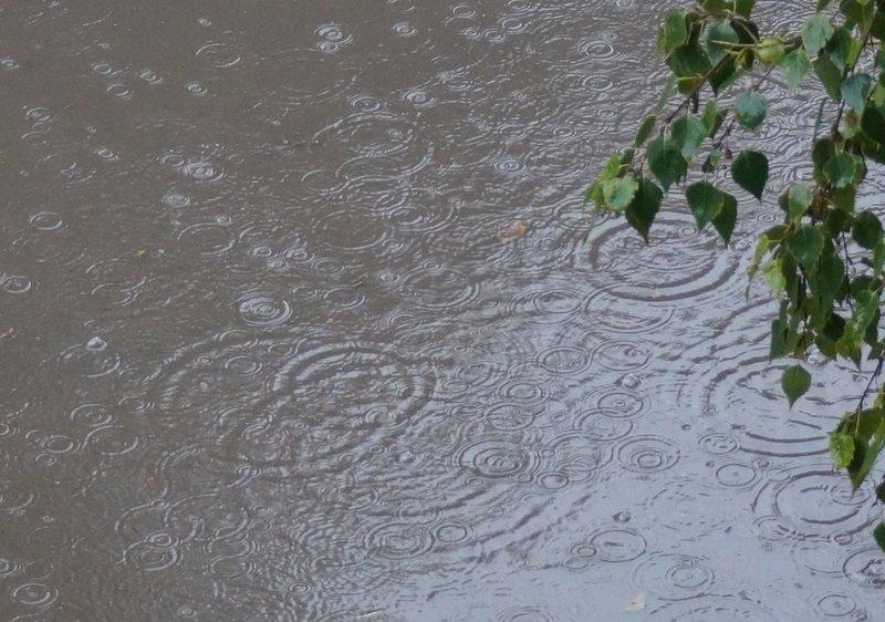 Дожди, косые дожди с далекого берега: каспийский циклон принес в Сызрань осадки