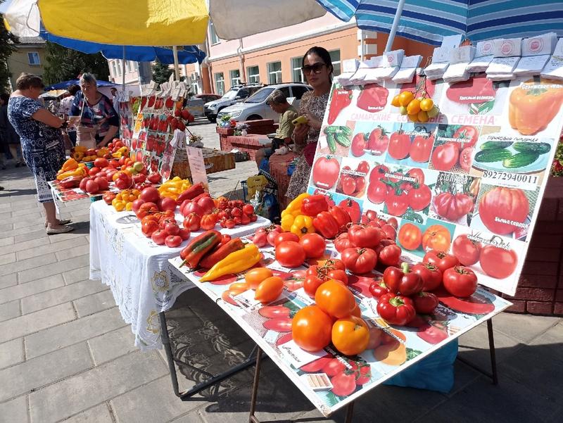 Фото сызранский помидор