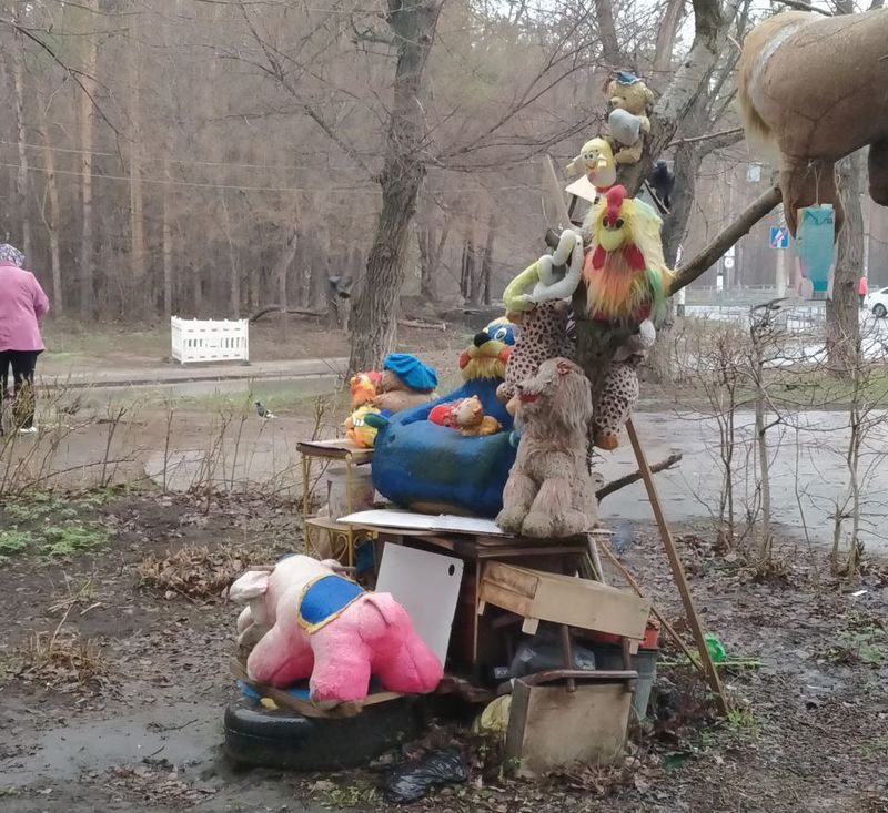 Во дворе дома в Сызрани можно снимать ужастик про Джиперса Криперса