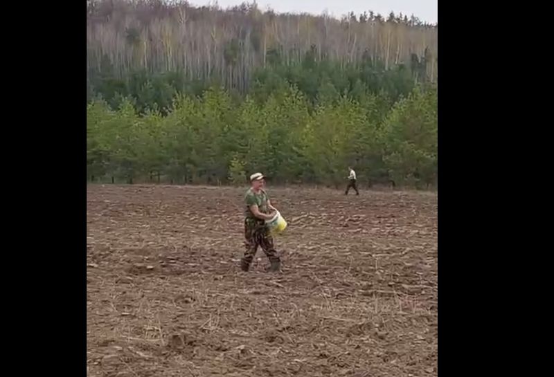 На этом поле можно встретить дикого зверя: под Сызранью для животных создали особые «столовые»