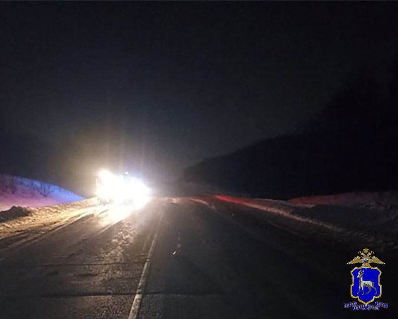 Лось выбежал на дорогу внезапно и отправил водителя Шкоды в реанимацию