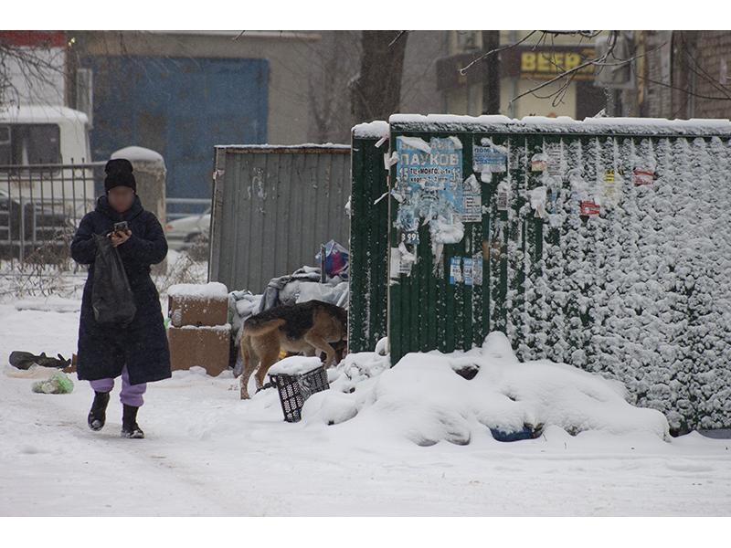 Регоператора по вывозу отходов обяжут убирать контейнерные площадки