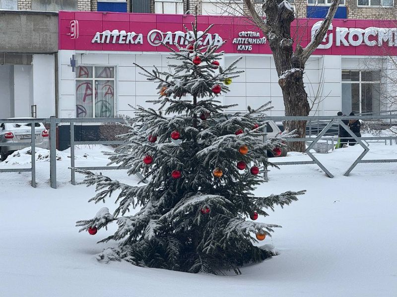 На улице в Сызрани появился необычный «народный арт-объект»