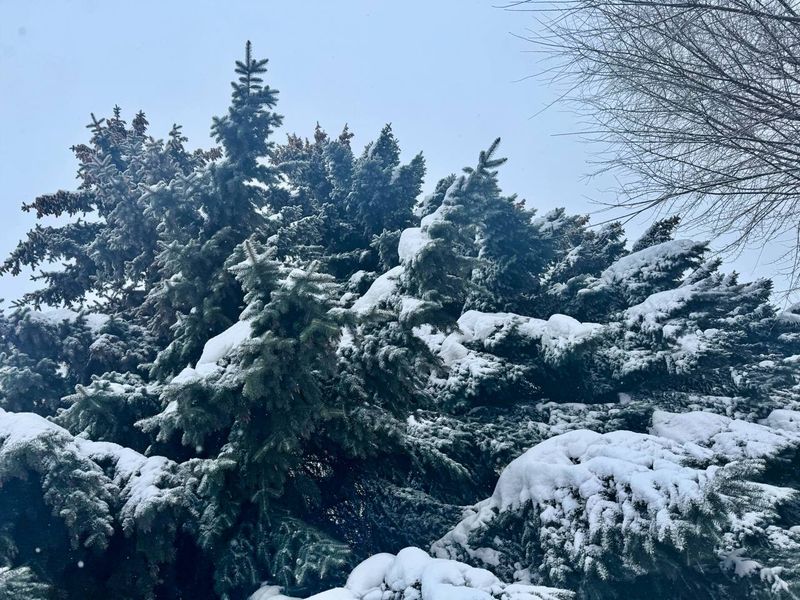Сызрань проведет спокойную ночь, но в понедельник с неба и посыплет, и польёт, и ветром заметёт