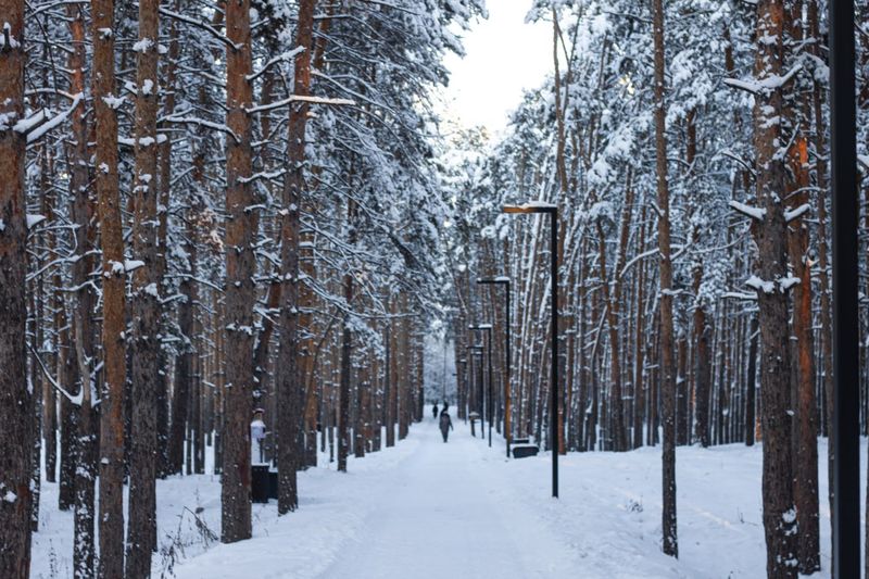 Зачем умываться снегом, следить за мужчинами и почему сегодня нельзя давать деньги в долг
