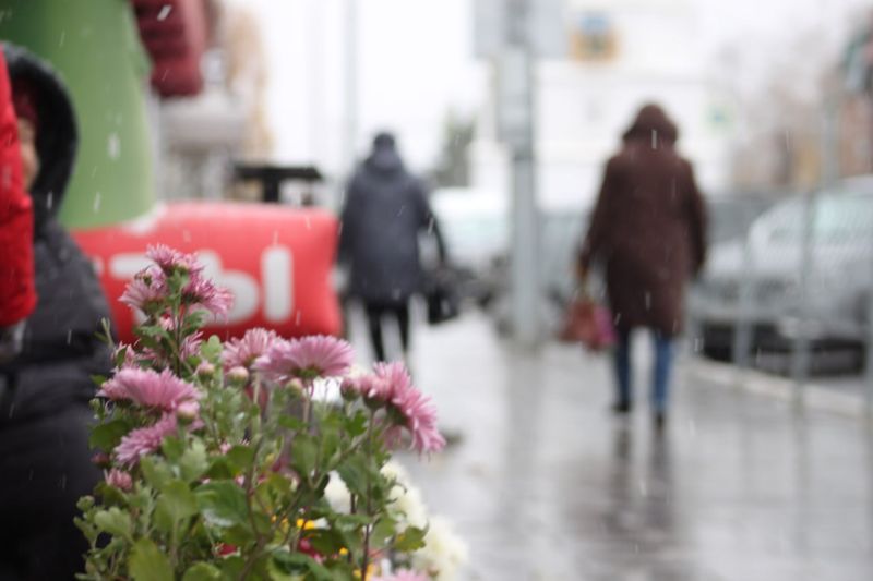 Метеорологи сказали, каким будет первый день весны