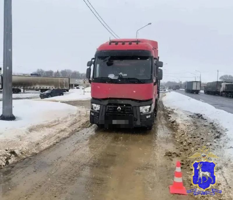 В Сызранском районе грузовик сбил пешехода на трассе М‑5 «Урал»