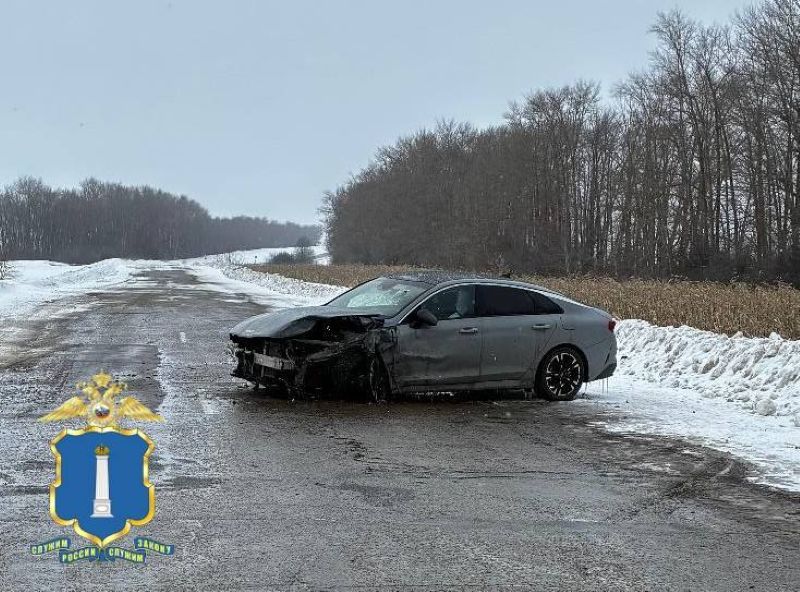 На трассе в Ульяновской области водитель иномарки вылетел на встречку и устроил смертельное ДТП