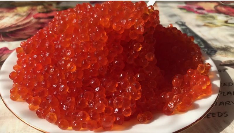 В Самарской области ищут лососевую икру-подделку - на первый взгляд с ней всё в порядке