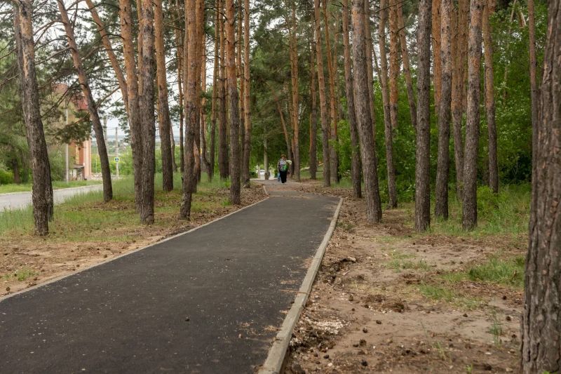 Сызрань может получить федеральные деньги на благоустройство лесной зоны - к вопросу срочно должны подключиться сами горожане