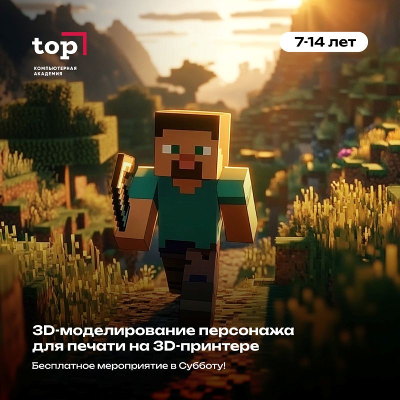 Академия ТОП приглашает детей и их родителей на интерактивное бесплатное мероприятие «Майнкрафт: перезагрузка в Сызрани»