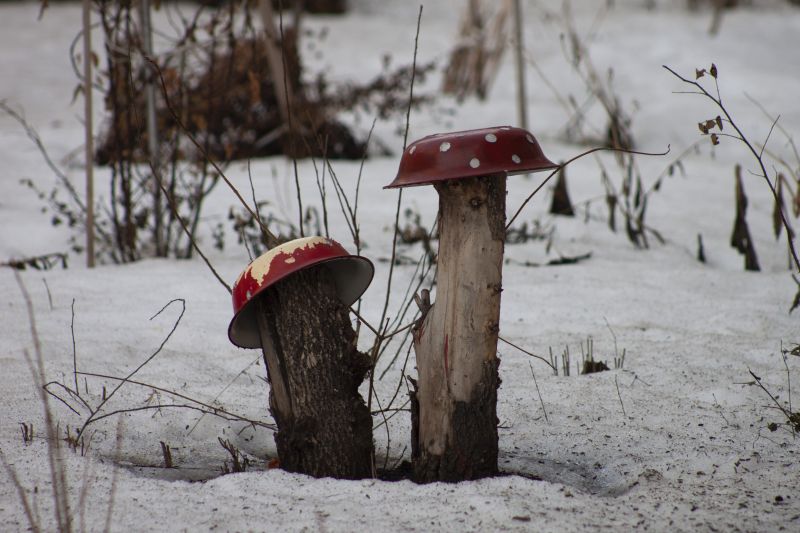 Ночью температура воздуха понизится до -12C, но весна все-таки растопит снег в Сызрани