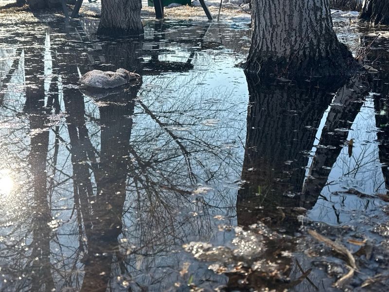 Дождливый фронт ворвется в Самарскую область и зацепит Сызрань