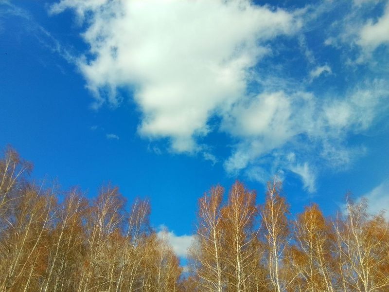 В Самарской области воздух прогреется до плюс 21 градуса, уже скоро