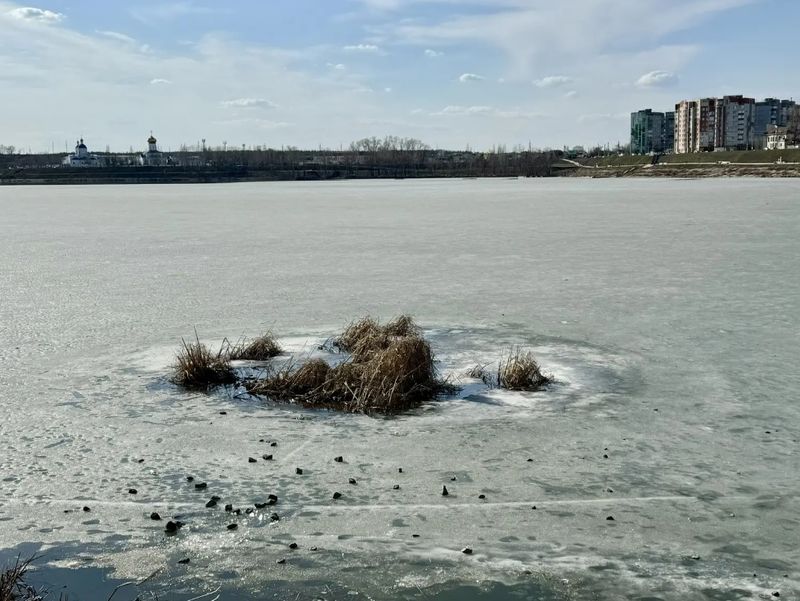 Погода в Сызрани в ближайшие сутки ничем особенным не удивит