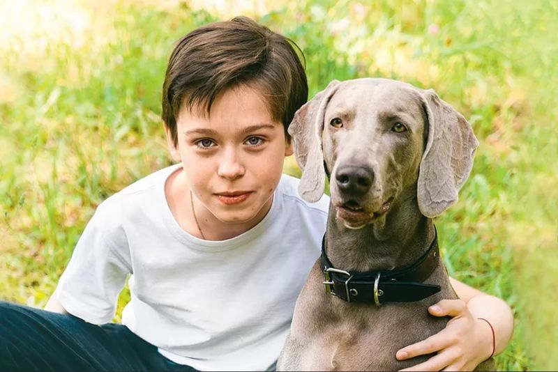 Жителей Сызрани приглашают бесплатно посмотреть фильм о спасавшей людей собаке