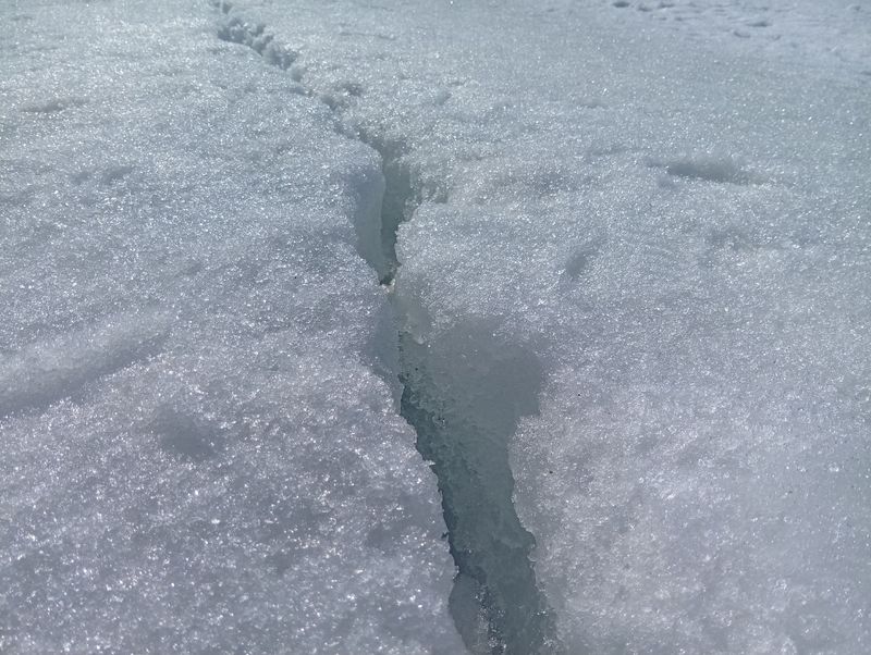 Две несчастные собаки провалились под лед Сызранки на глазах у очевидцев