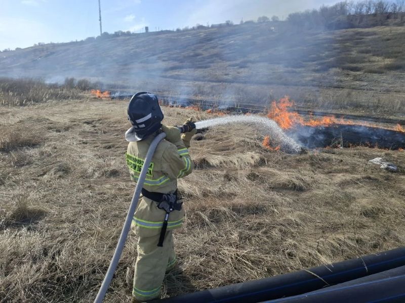 В Самарской области тушат первые природные пожары