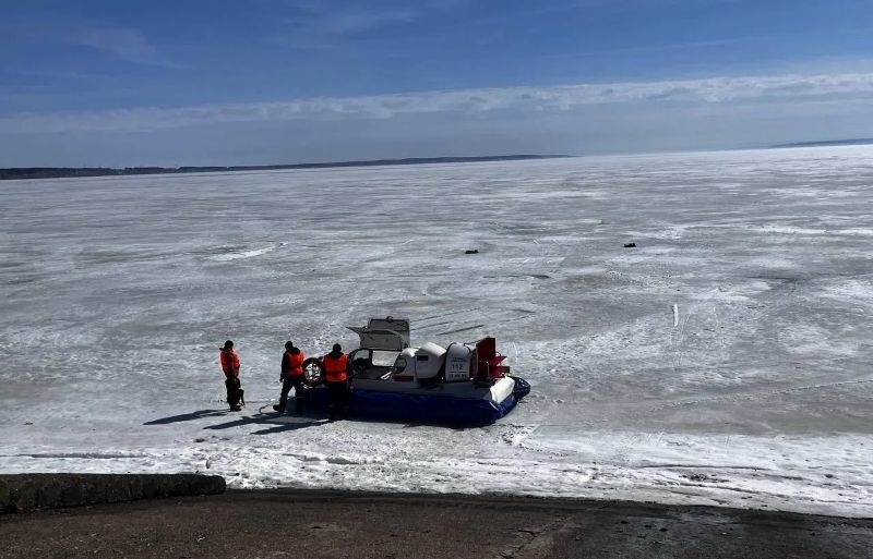 СК завел дело по статье «Убийство» после пропажи детей на Волге: что произошло за несколько часов до исчезновения