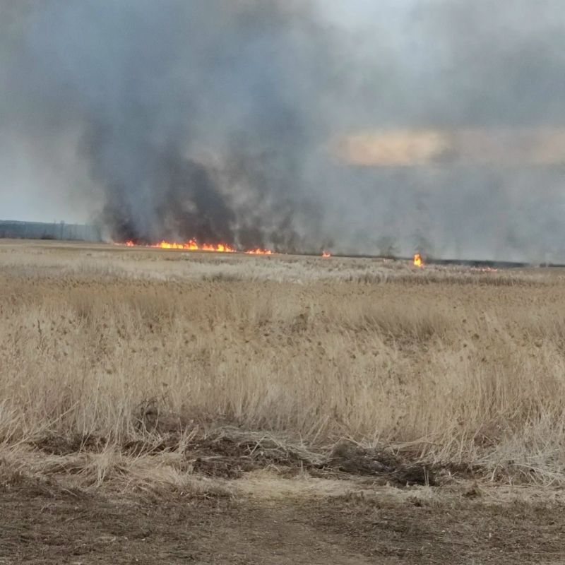 В Сызранском районе 3 часа тушили крупный природный пожар