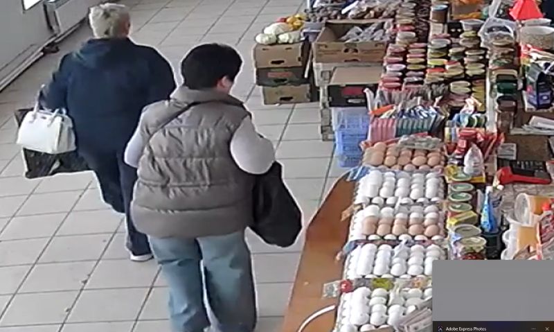 Полиция Сызрани заподозрила двух меркантильных женщин в дерзком поступке