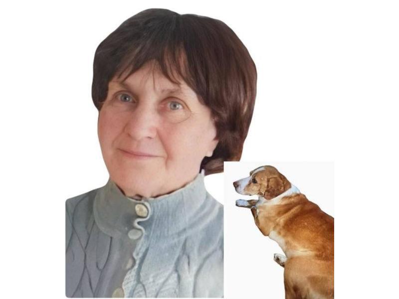 В лесу под Сызранью пропали двое - женщина и собака