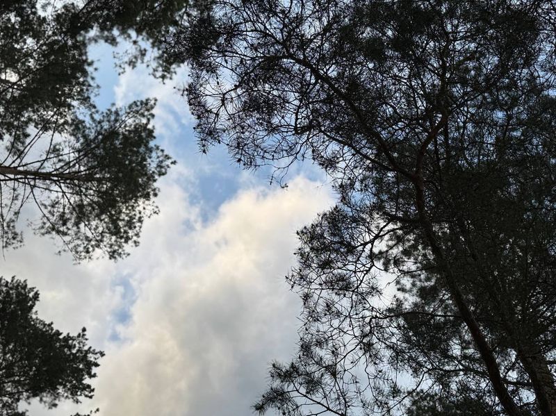 Письмо Юрия Гагарина мальчику-сироте Вовке - это лучшая память о космонавте и Человеке