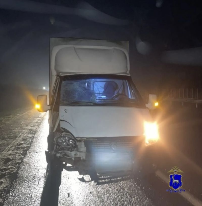 В ночь на понедельник на трассе в Самарской области насмерть сбили пенсионера