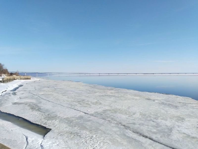 В Ульяновской области из воды извлекли тела двух погибших