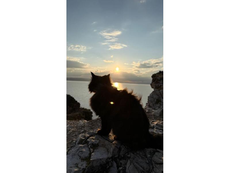 На Молодецком кургане появилась «Хозяйка горы», любимица рыбаков и туристов