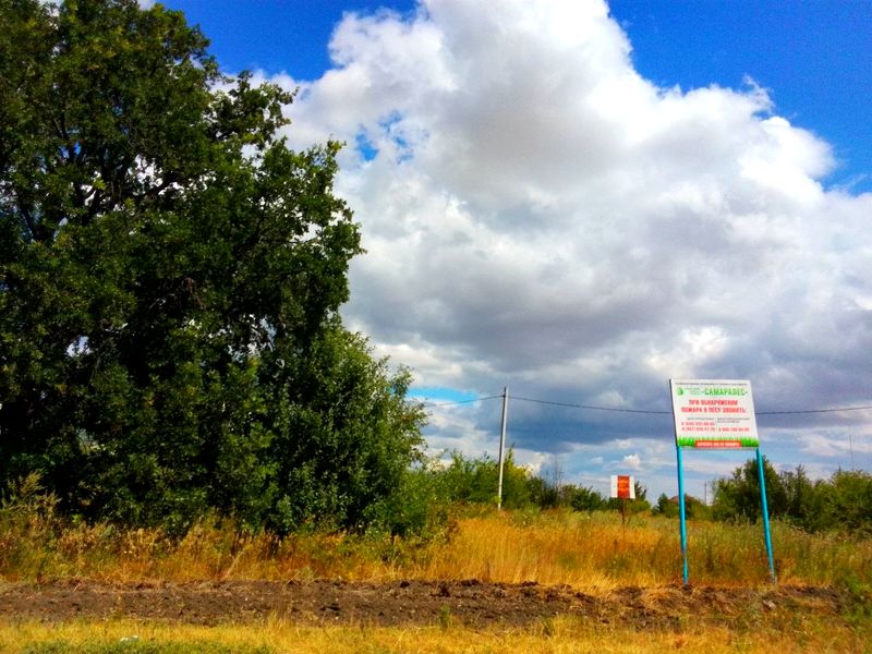 Впервые в 2026 году посещения лесов в Самарской области стали опасны: попадает ли в зону запрета Сызрань