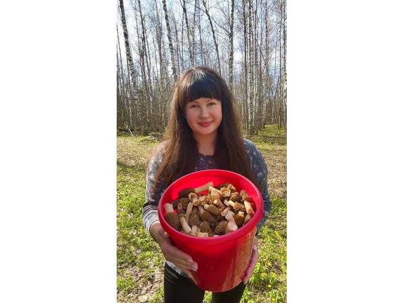 «Спрей помогал на пару минут»: поджидающие в лесу клещи не справились с грибниками из Сызрани