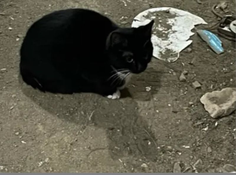 В Сызрани мальчик наотрез отказывался уйти вместе со спасателями из разрушенной БПЛА комнаты - он искал друга