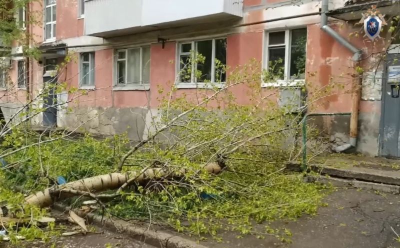 В Самаре выросло число жертв деревьев-убийц