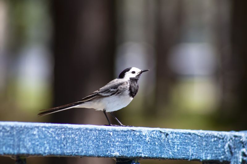 Дождь, солнце, порывы ветра - в Сызрани сегодня можно почувствовать всё