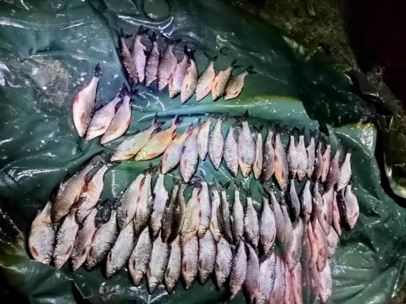 Транспортная полиция Сызрани поймала на Волге браконьера с металлической «кошкой»