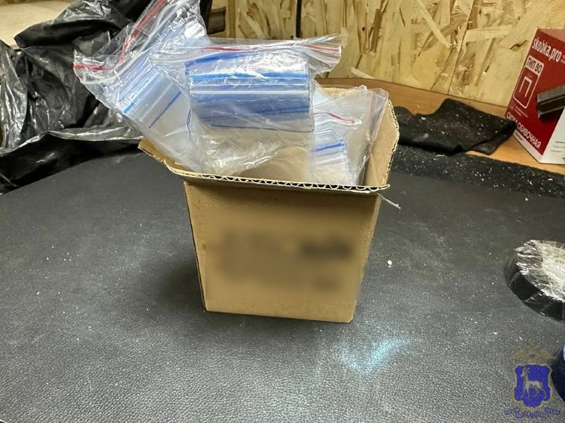 Педагог из Тольятти попытался наладить наркотрафик в Сызрани - полиция сработала вместе ФСБ