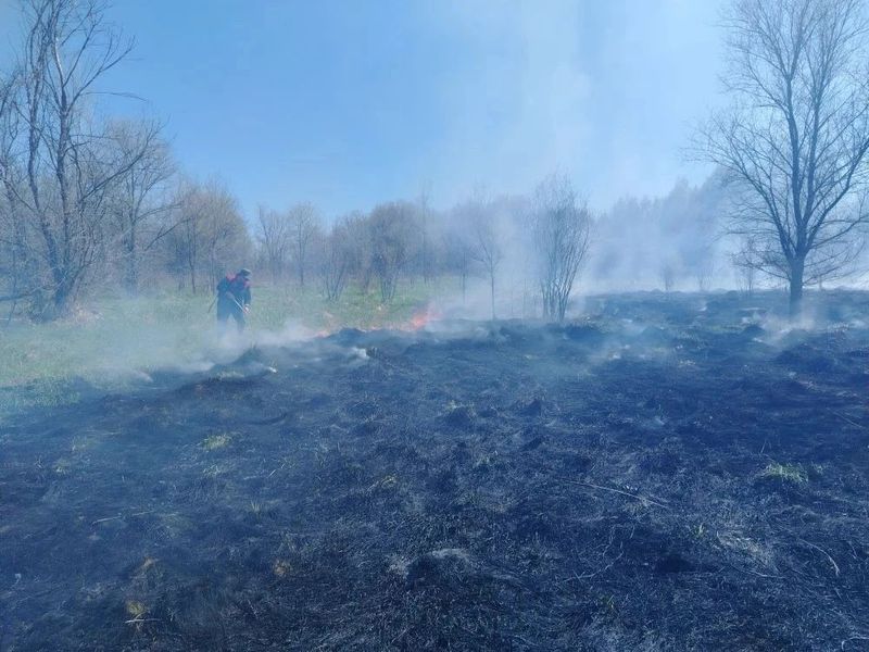 Лес в Шигонском районе два часа спасали от огня