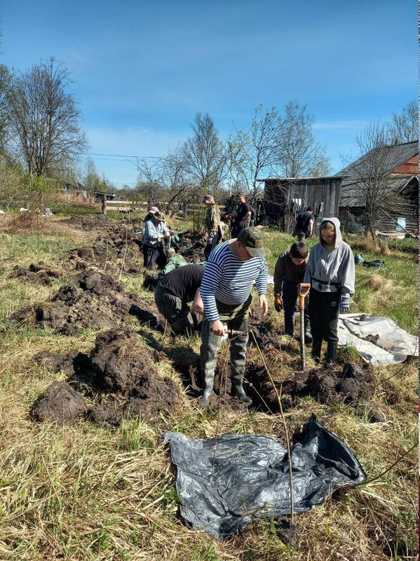 В земле Новгородчины найдены останки молодого бойца, практически - земляка жителей Сызрани