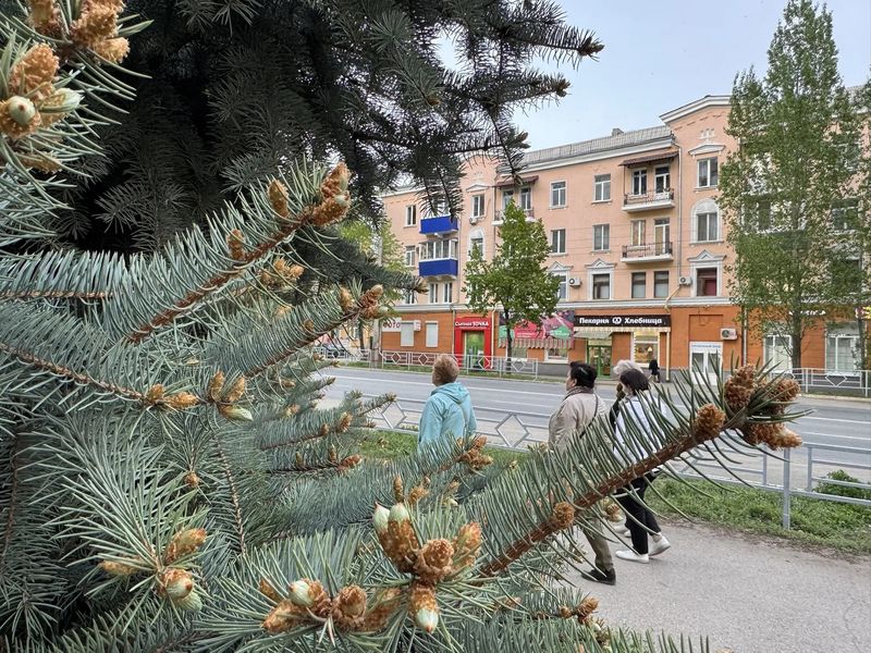 В Сызрани погода будет стремительно меняться - возможно, уже сегодня ночью