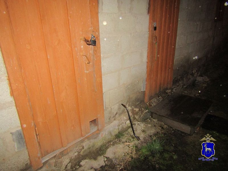В Самарской области сын приехал к матери в село, чтобы совершить преступление
