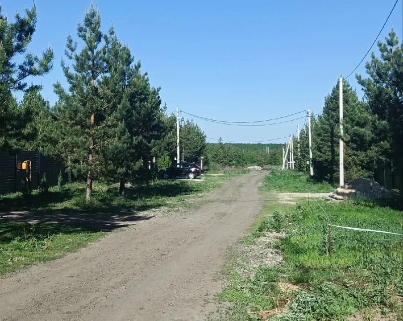 Пройдусь до Абрикосовой, сверну я на Центральную: село под Сызранью страдает без воды