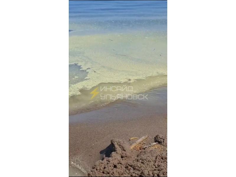 «Волга зацвела, пляжный сезон закончился»: «нечто» на воде поразило очевидцев