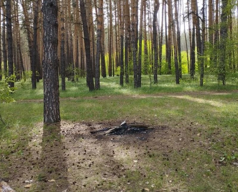 Общее - значит, ничьё: что обнаружено в лесу в Сызрани