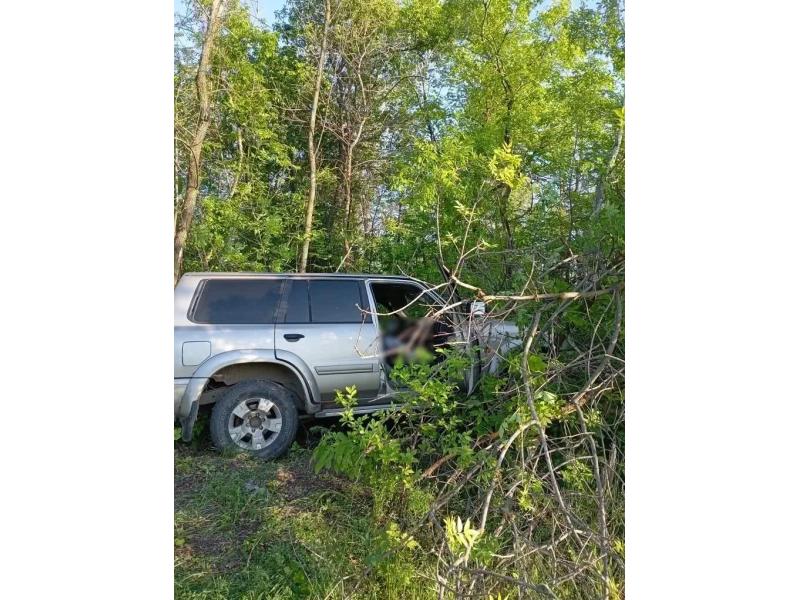 С трассы М-5 в Сызранском районе автомобиль съехал в кювет - водитель погиб